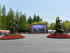 -东平国家森林公园