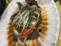 -莲花公园煎蟹(总店)