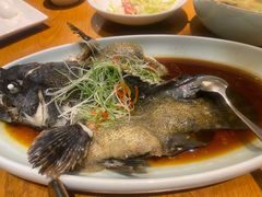 -新海渔港·胶东海鲜家常菜·家宴(奥体中心店)