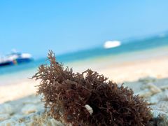 -三亚西岛海洋文化旅游区