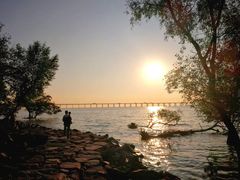 -宝安西湾红树林湿地公园