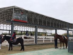 -上海崇明金茂凯悦酒店