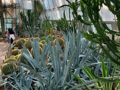 -北京植物园-展览温室