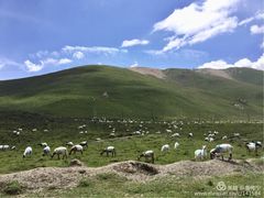-祁连山草原