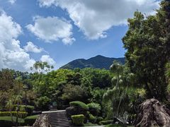 -深圳仙湖植物园