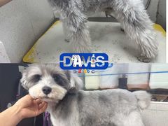 -汪小喵宠物·戴维斯乐芳希施宠馨宝皮毛调理洗护店