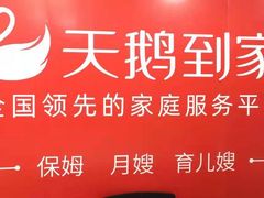-天鹅到家·保姆月嫂育儿嫂(龙华店)