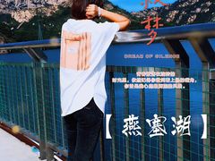 -燕塞湖鸟语林景区