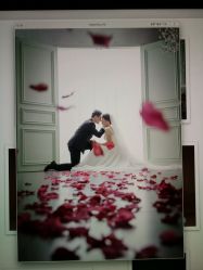 点击看大图 -韩国艺匠ARTIZ STUDIO(博览中心店)