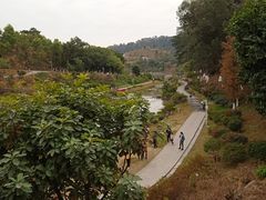 -东莞植物园