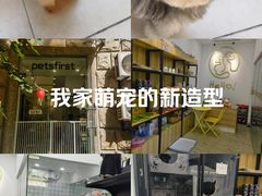 -Pets First伊珊娜洗护·精致美容·家庭式寄养(新会路店)