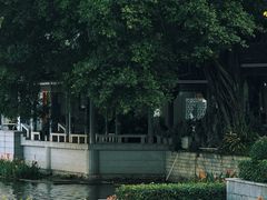 -荔湾湖公园