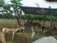 -西安秦岭野生动物园