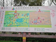 -上海海湾国家森林公园