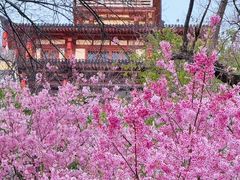 -龟山风景区-龟山电视塔
