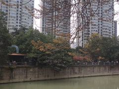 -成都市活水公园