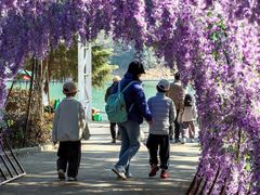 -石燕湖生态旅游景区