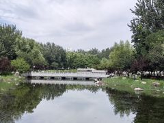 -东升八家郊野公园