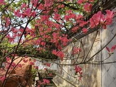 -上海醉白池公园