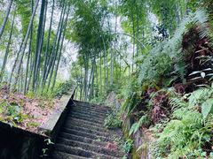 -白云源风景区