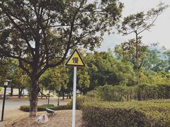 -福建鲤鱼洲酒店