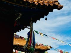 -大召无量寺