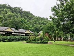 -野象谷景区