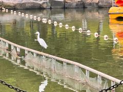 -珠海圆明新园