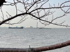 -上海滨江森林公园