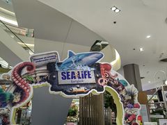 -暹罗海洋世界