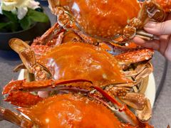 -连鹭海鲜·海肠捞饭·海胆饭(星海店)