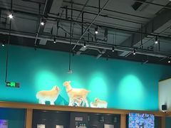 -大白羊蝎子馆(后沙峪山姆店)