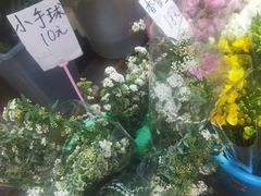 -循礼门鲜花花市(武汉循礼门店)