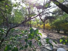 android_upload_pic-辽宁大学(崇山校区)