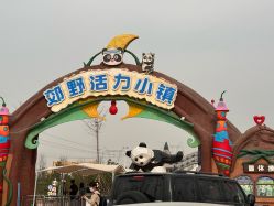 -逸丝风尚专注烫染