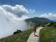 -白草畔自然风景区