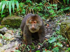 -西岭雪山大飞水景区