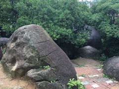 -火炉山森林公园