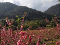-广州市石门国家森林公园