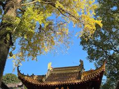 -狼山风景名胜区