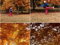 -上海海湾国家森林公园