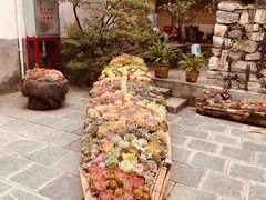 -寂照庵