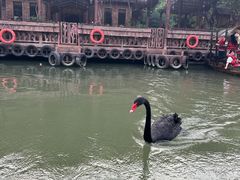 -长鹿旅游休博园