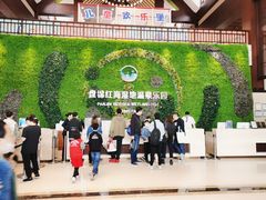 -盘锦红海温泉乐园