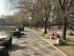 -洛阳市隋唐城遗址植物园