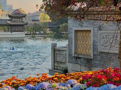 -荔湾湖公园