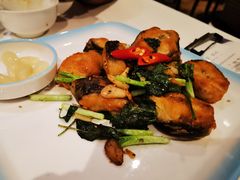 金不换煎焗白鳝-博多新记·粤菜(复兴店)