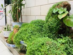 -秀水家园农家院住宿团建(石林峡店)