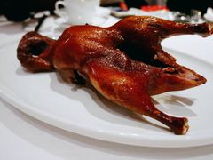 首创昆明BB乳鸭-东富酒家(龙湖西溪天街店)