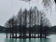 -尚湖风景区